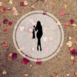 Ҫ�䡭����������