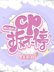 촩ϵͳ֮cpͣ